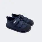 deportiva respetuosa orso marino titanitos