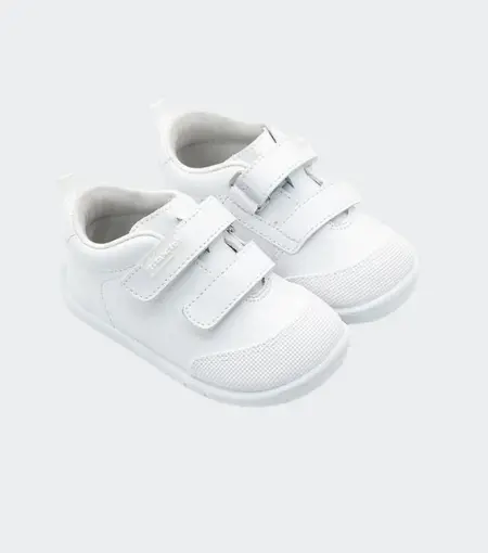 deportiva respetuosa orso blanco titanitos